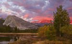 Tuolumne Sunset